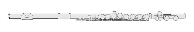 Flute Image